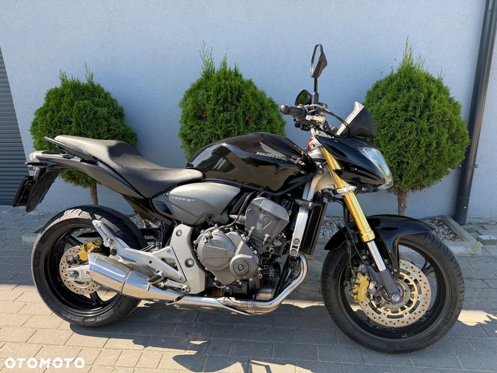 Honda Hornet - 14