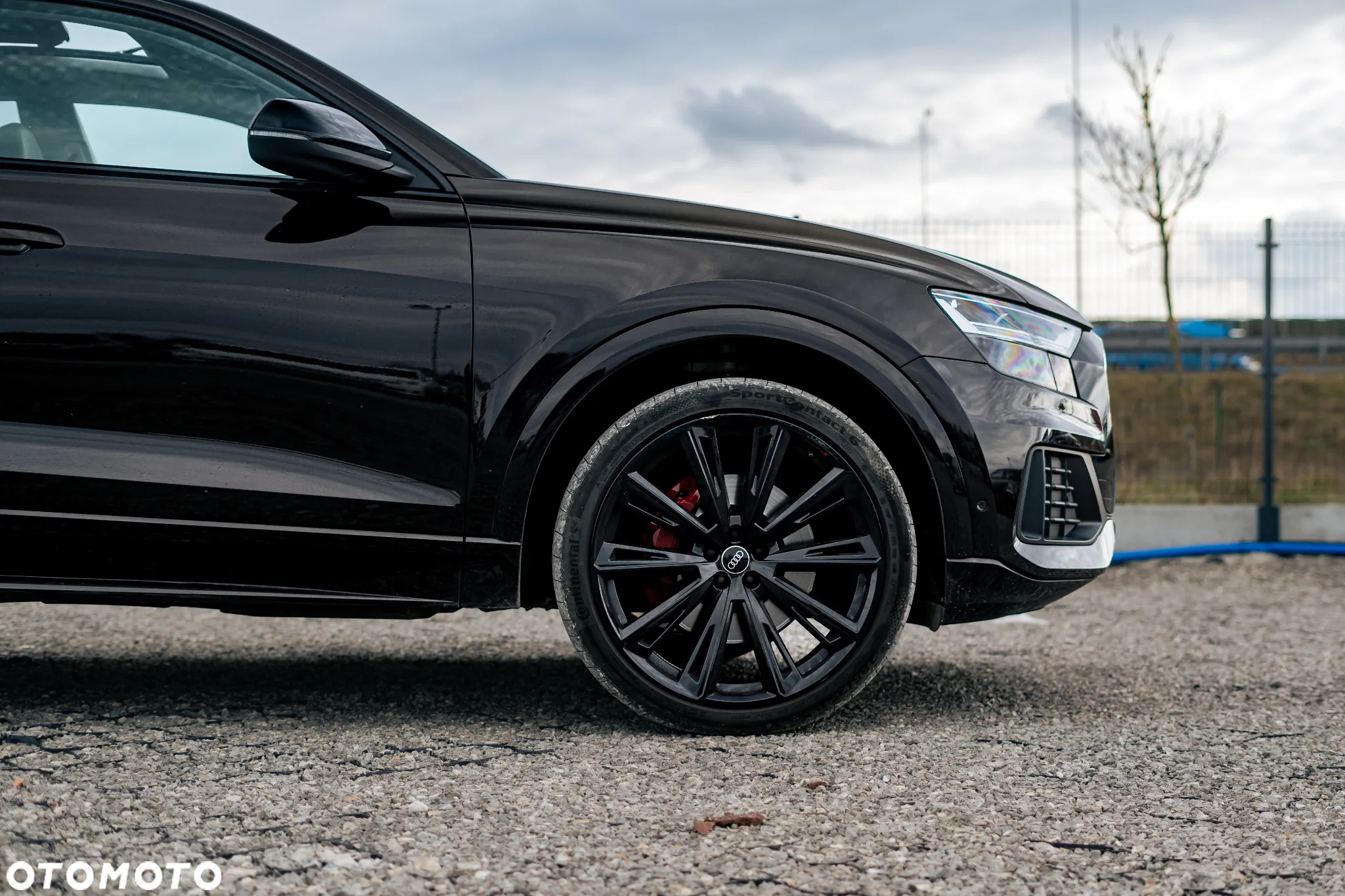 Audi Q8 - 8