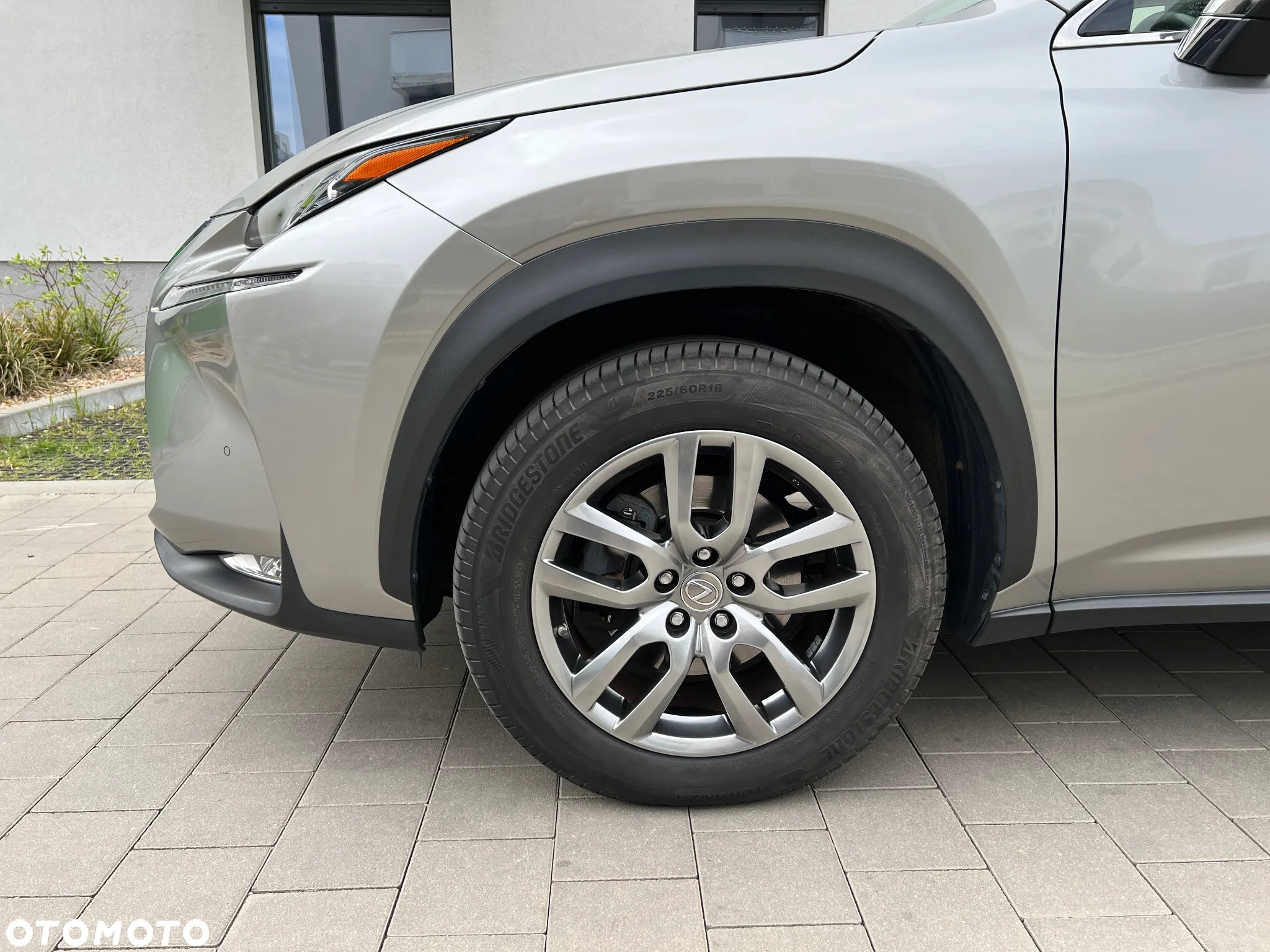 Lexus NX - 32