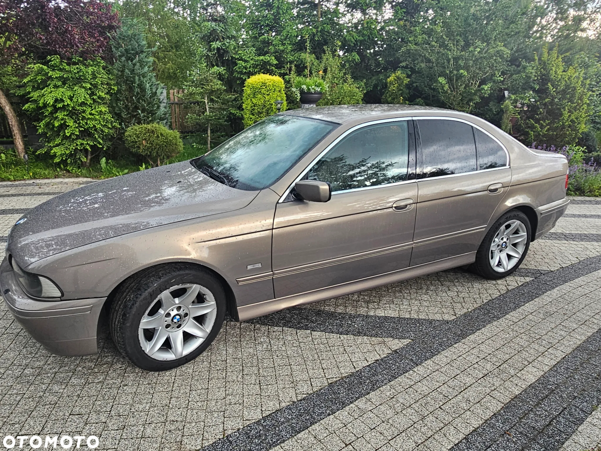 BMW Seria 5 525d - 3