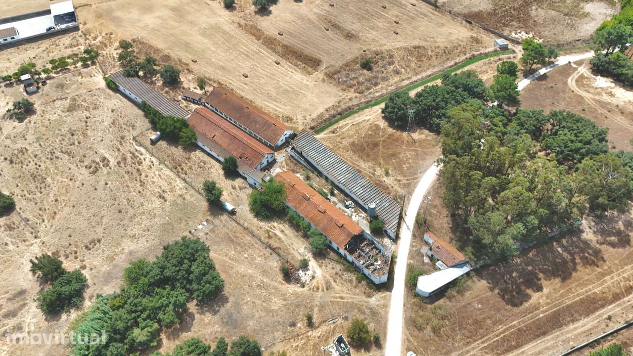 Terreno Misto na Quinta do Anjo - Grande imagem: 3/20