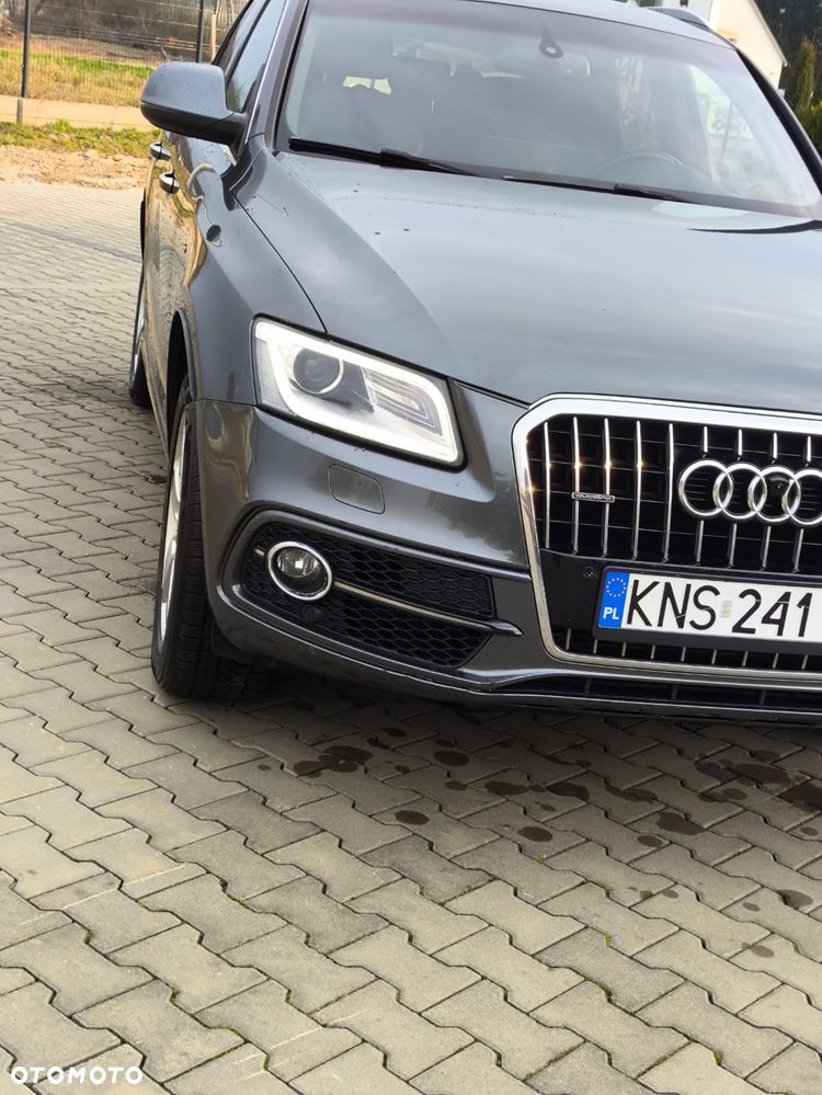Audi Q5 - 19
