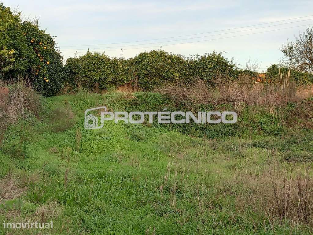 Terreno p/ Moradia Isolada – Aradas - Grande imagem: 4/6