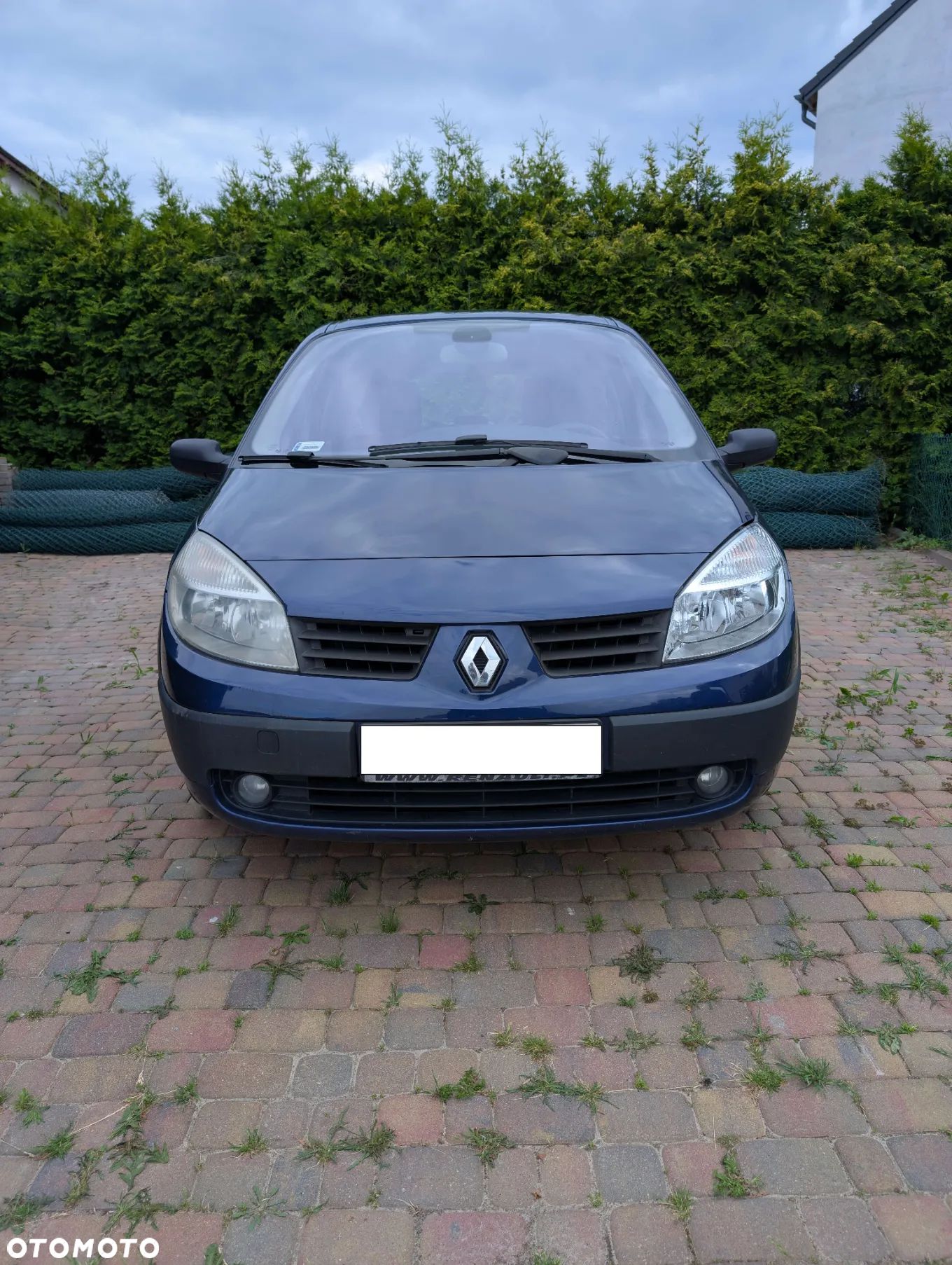 Renault Grand Scenic - 1