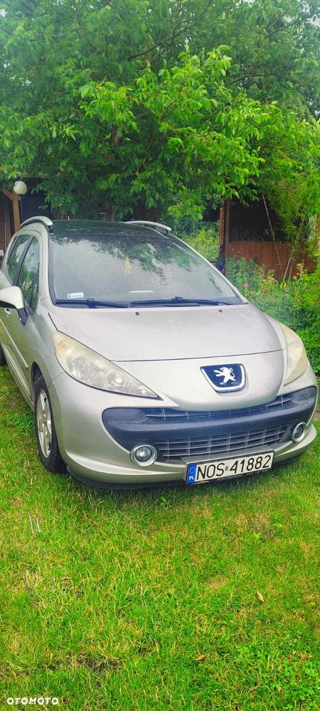 Peugeot 207 - 3