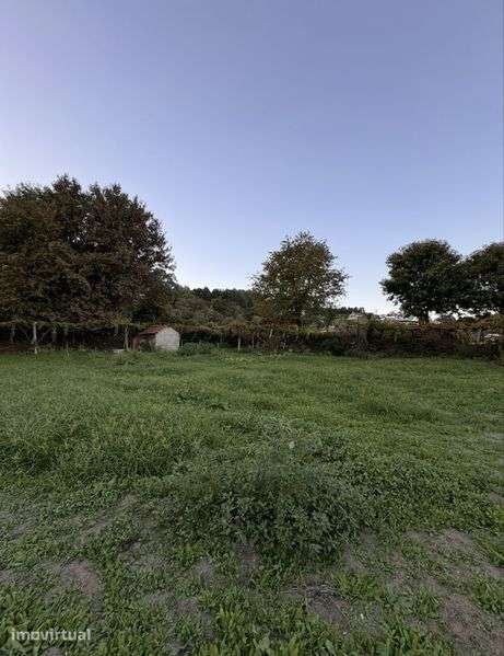 Alugo Terreno Agricula / Cultivo - Grande imagem: 2/4