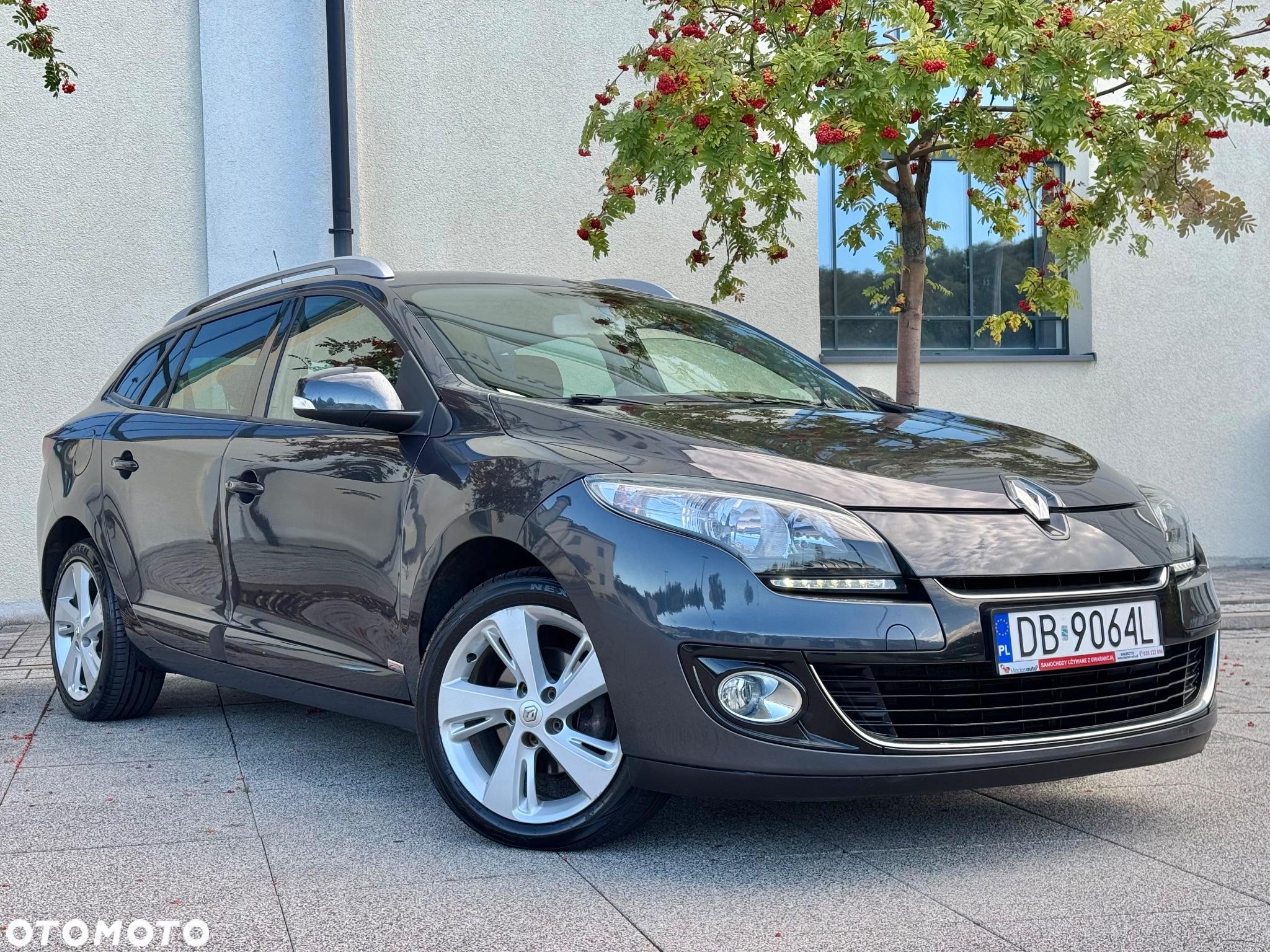 Renault Megane 1.6 16V Limited - 18