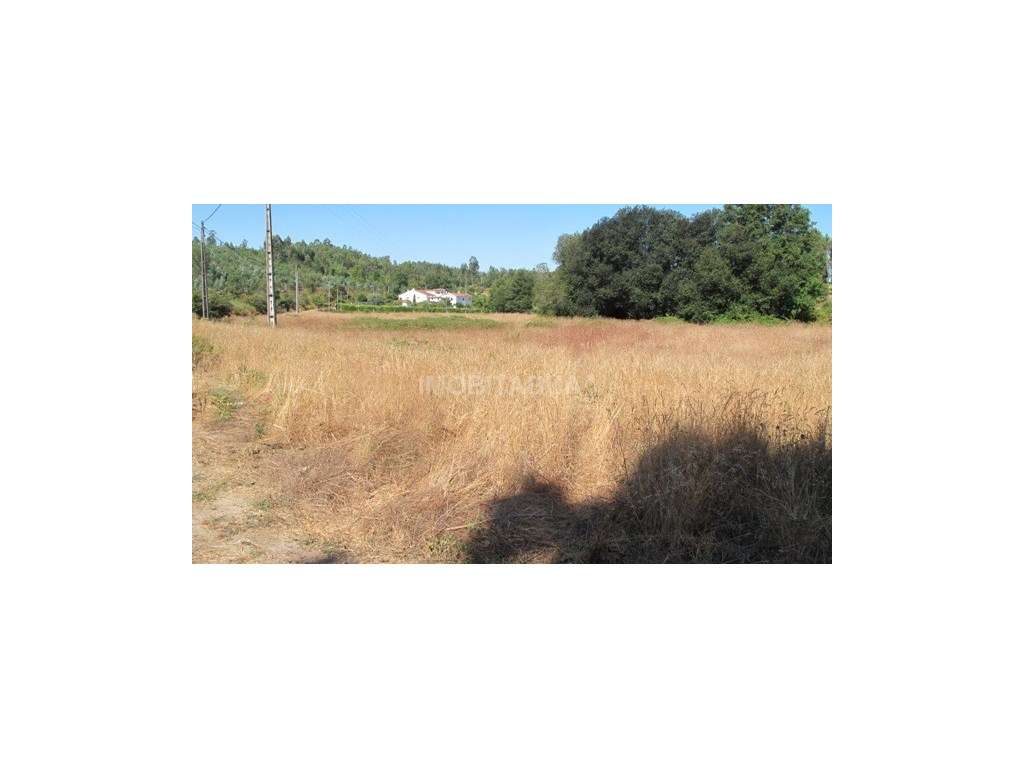 Lote para construção com 6,675 m2 - Grande imagem: 2/4