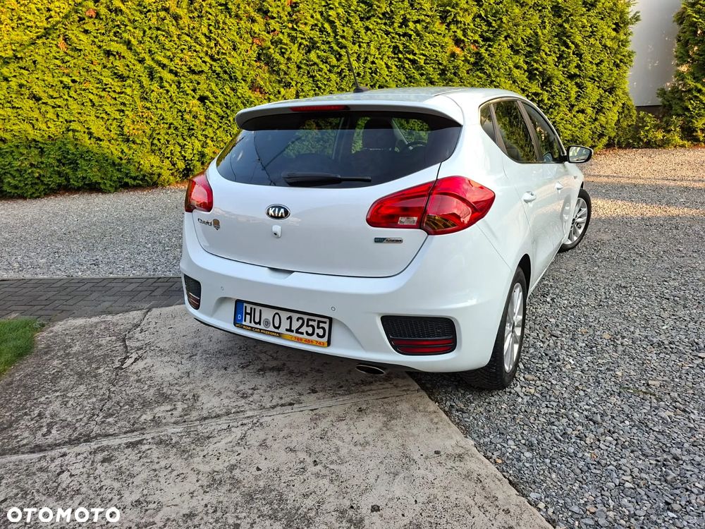 Kia Ceed 1.4 CVVT Dream Team Edition - 37