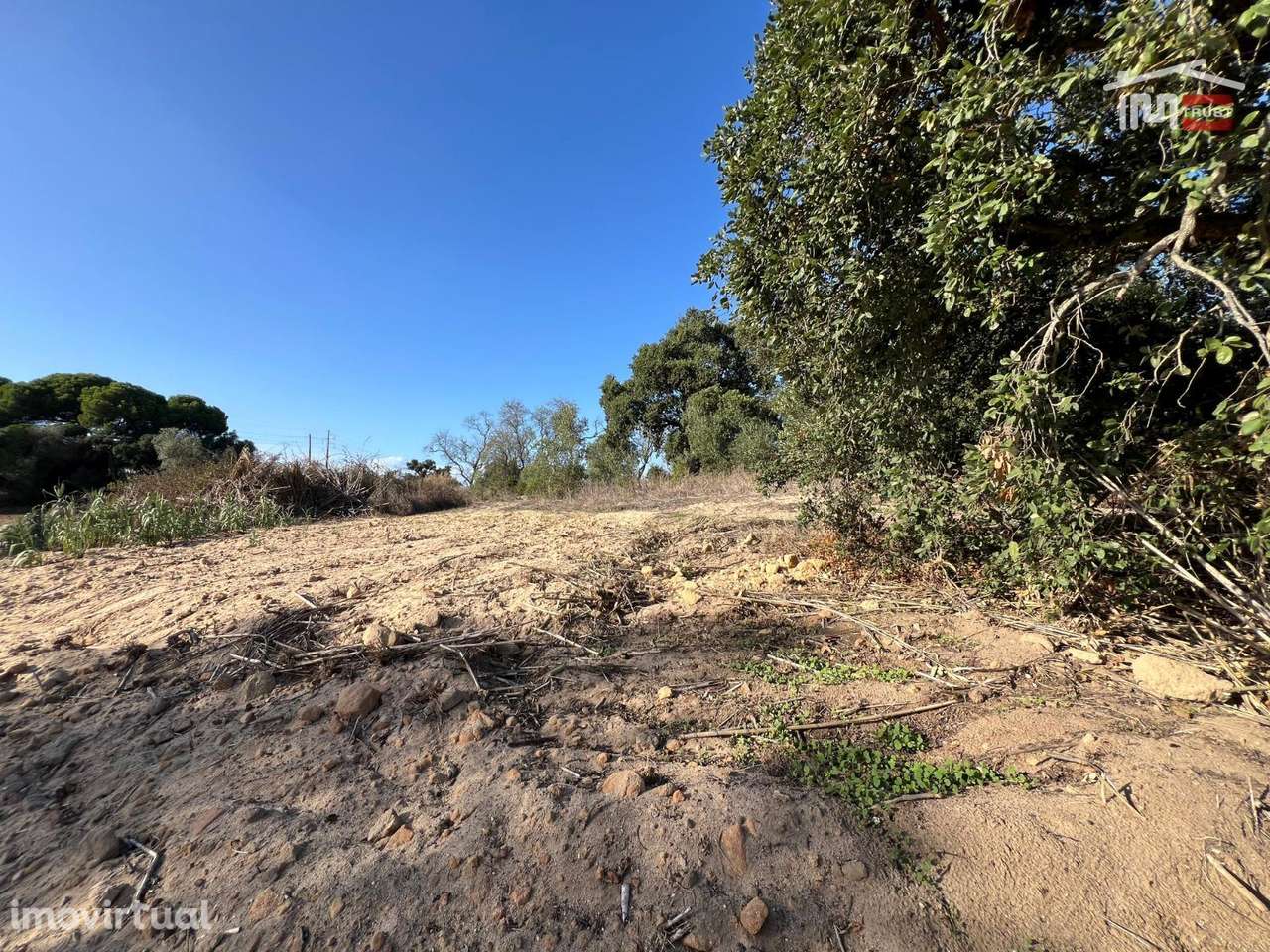 Terreno Rústico com 1,5 Hectares Perto do Mini Preço e Bombas da BP... - Grande imagem: 4/40