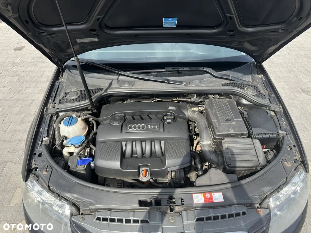 Audi A3 3-drzwiowe 1.6 Attraction - 19