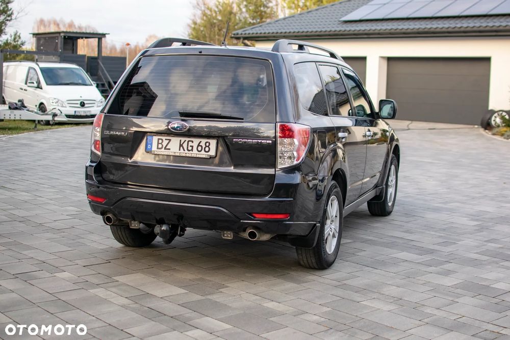 Subaru Forester - 19