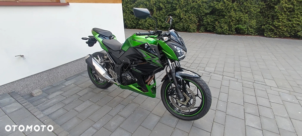 Kawasaki Ninja 300 ABS
