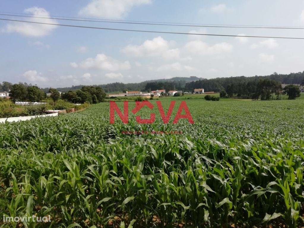 Terreno Urbano  Venda em Laundos,Póvoa de Varzim - Grande imagem: 2/3