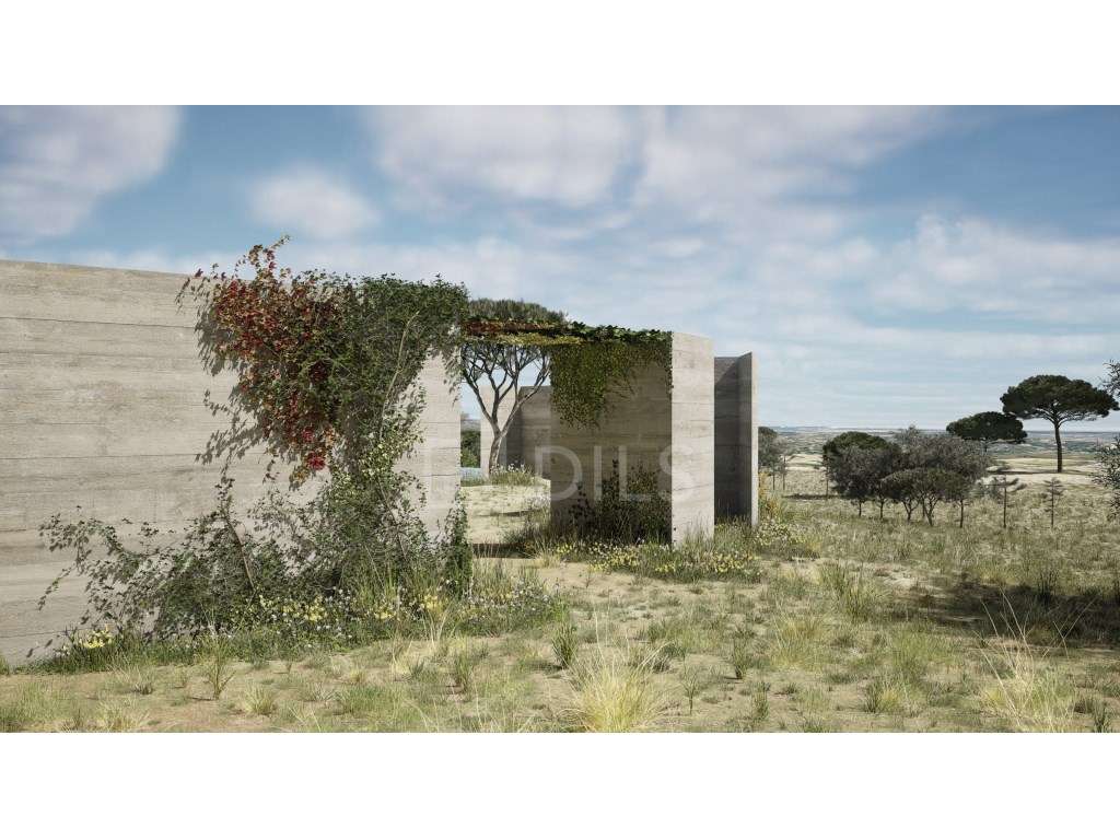 Terreno com Projeto Aprovado, Melides - Grande imagem: 2/30