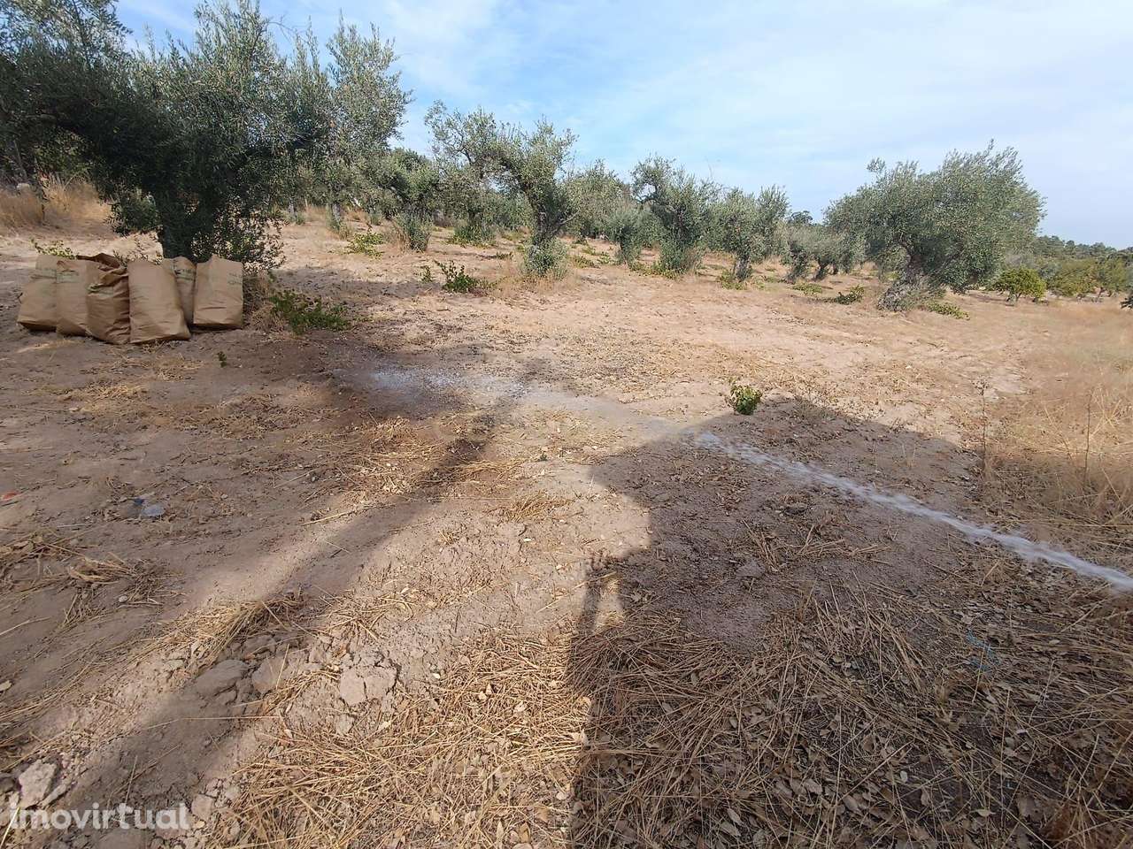 Fabuloso Terreno, Lousa, Castelo Branco - Grande imagem: 3/29