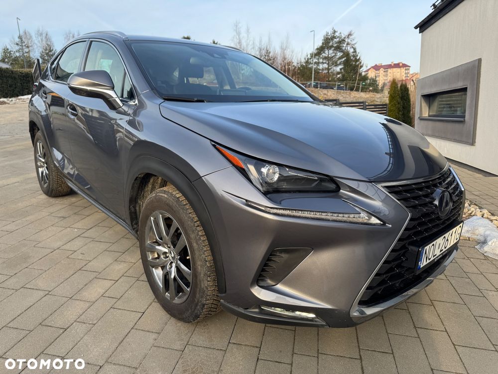 Lexus NX 300 Elegance Optimum AWD - 3