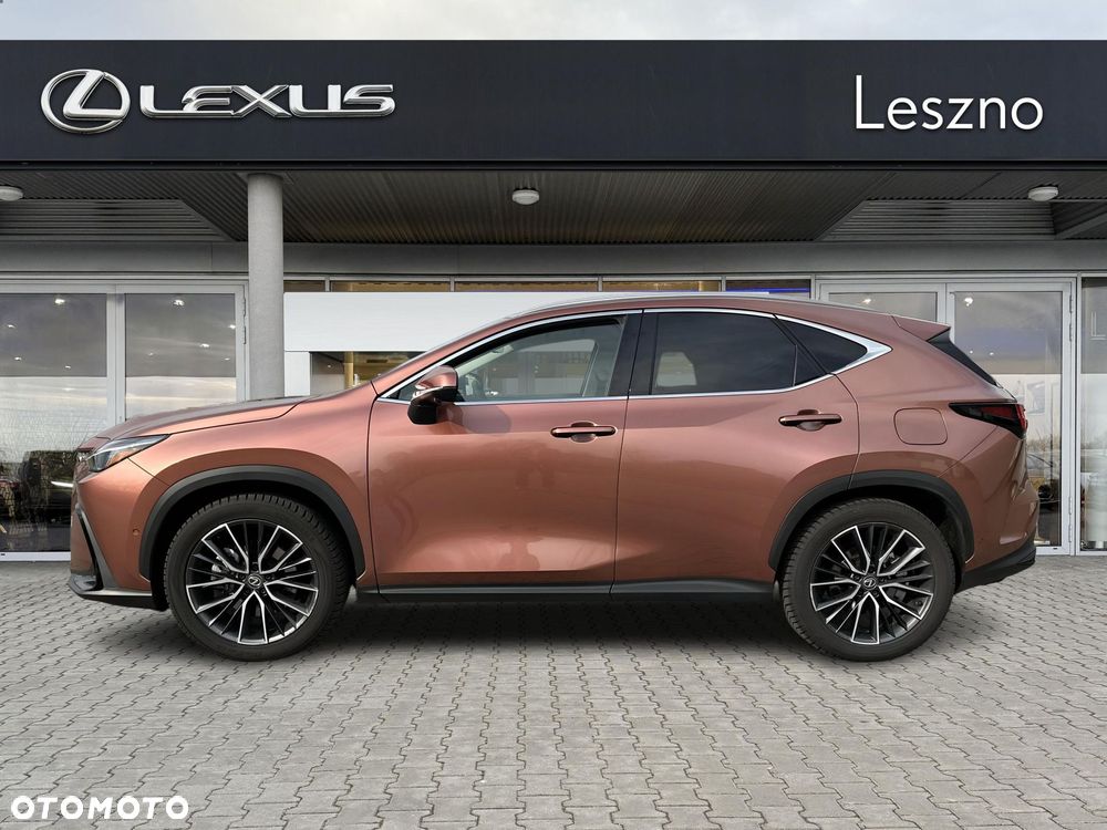 Lexus NX - 3