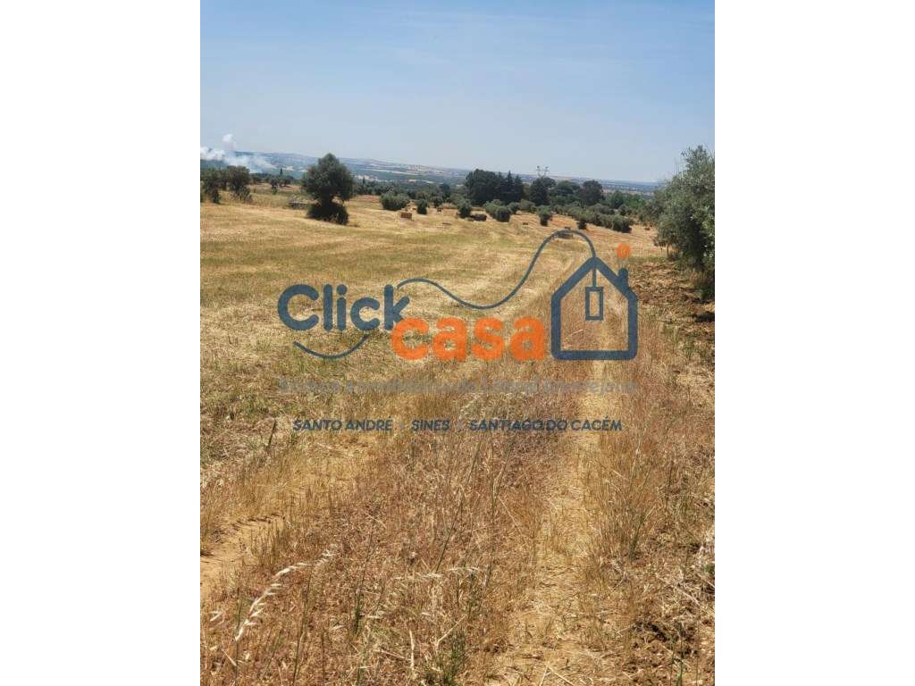 Terreno Rústico - Grande imagem: 4/11