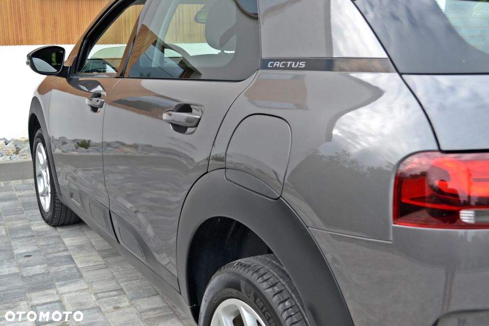 Citroën C4 Cactus - 13