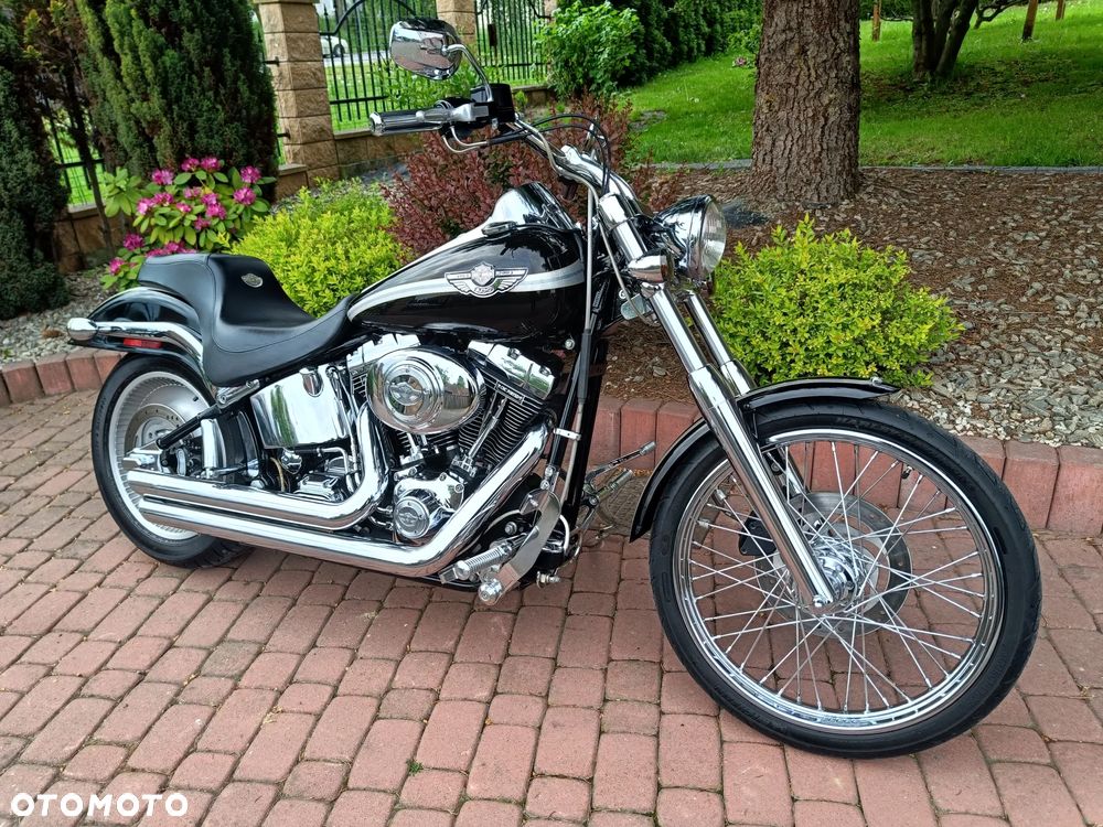 Harley-Davidson Softail - 31