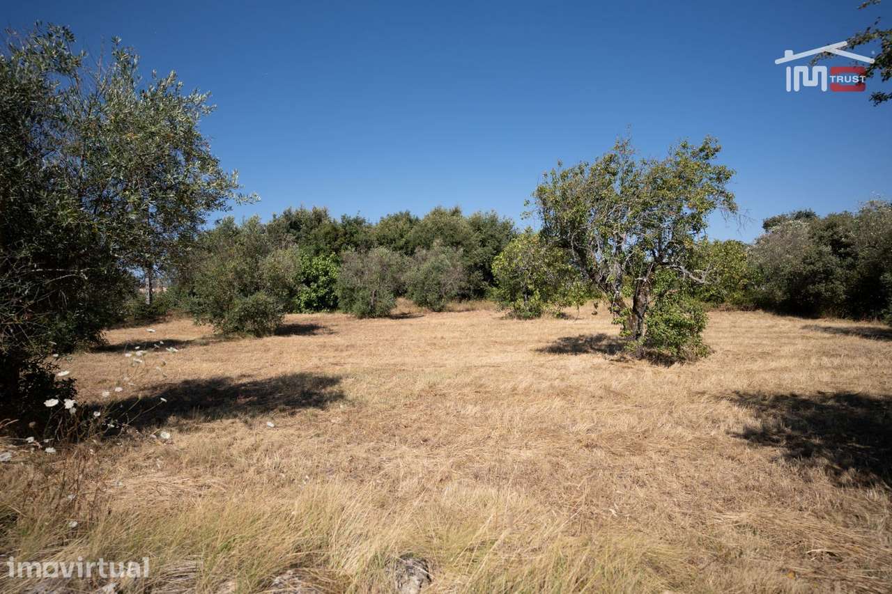 TERRENO PLANO PARA CONSTRUÇÃO COM 1 .011 m² PROXIMO DE OURÉM - Grande imagem: 4/15