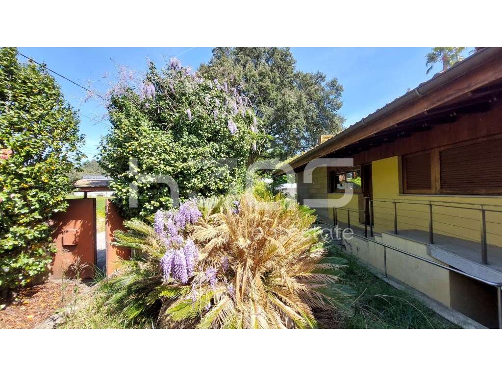 Oportunidade Rara: Grande Moradia com Terreno de 2.760 m² a Minutos... - Grande imagem: 5/31