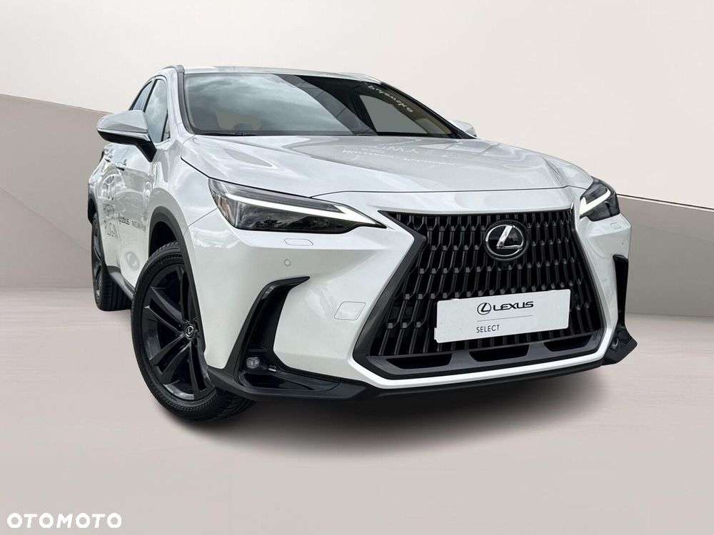 Lexus NX - 24