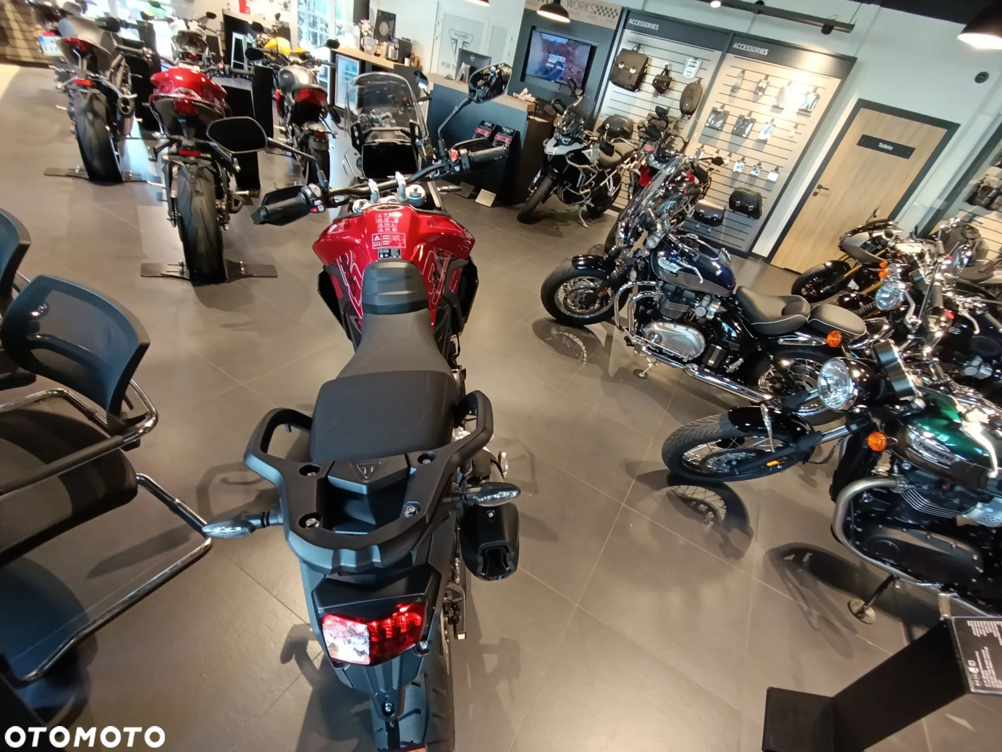 Triumph Tiger