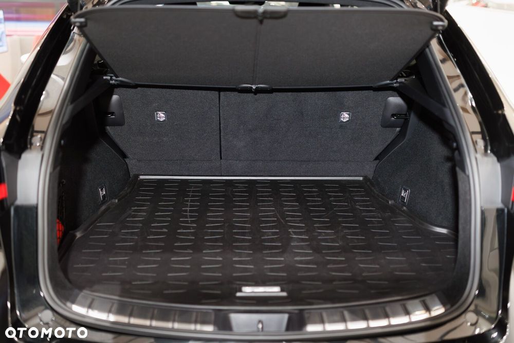 Lexus NX 350h F Sport AWD - 25