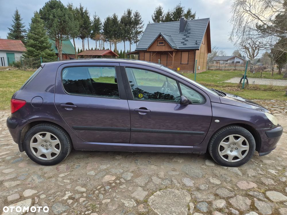 Peugeot 307 1.6 - 6