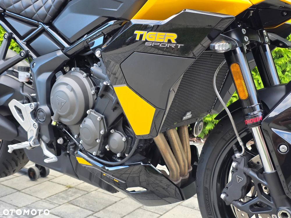 Triumph Tiger - 6