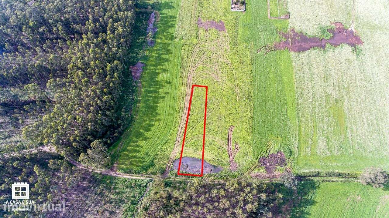 Terreno de cultivo em São João de Ovar - Exclusivo - Grande imagem: 2/12