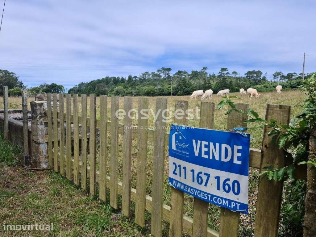 Terreno em Covões, São Pedro, Vila do Porto - Santa Maria - Grande imagem: 2/21