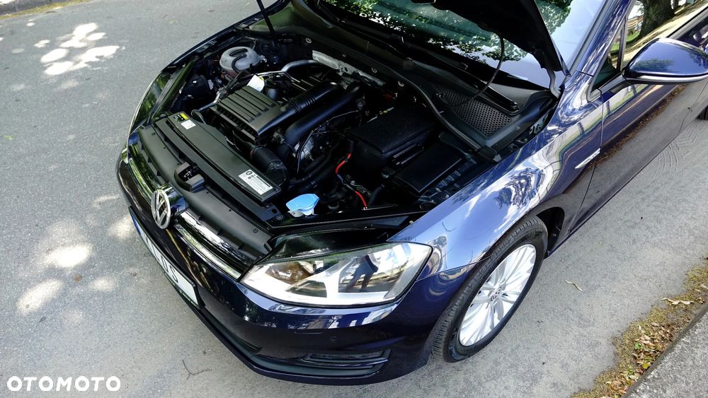 Volkswagen Golf - 24