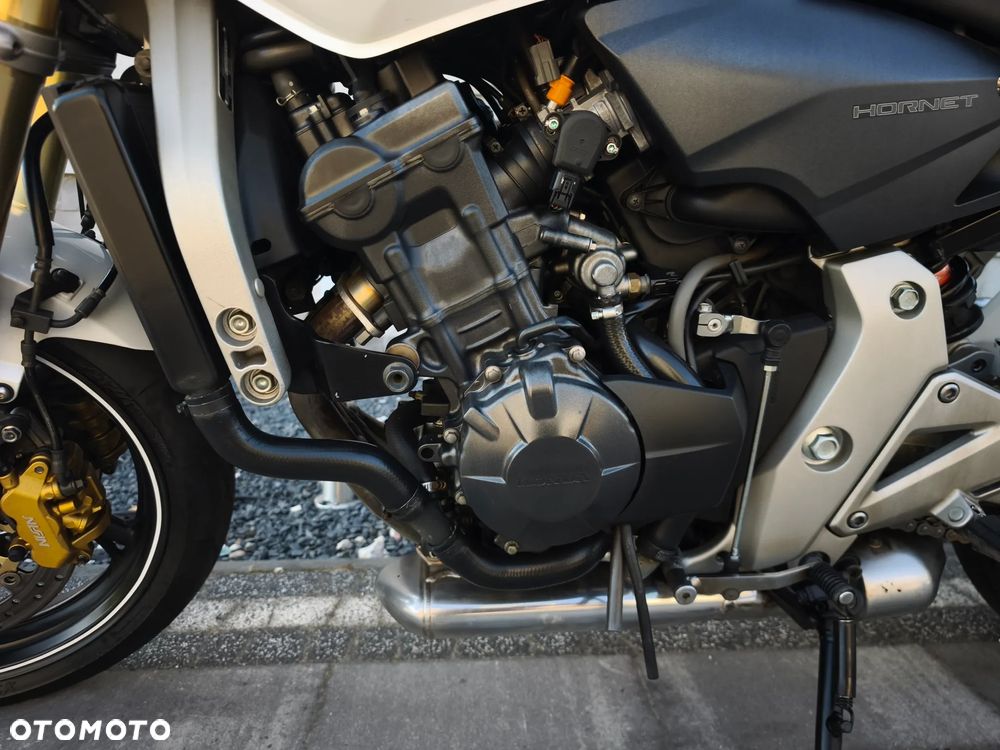 Honda Hornet - 26