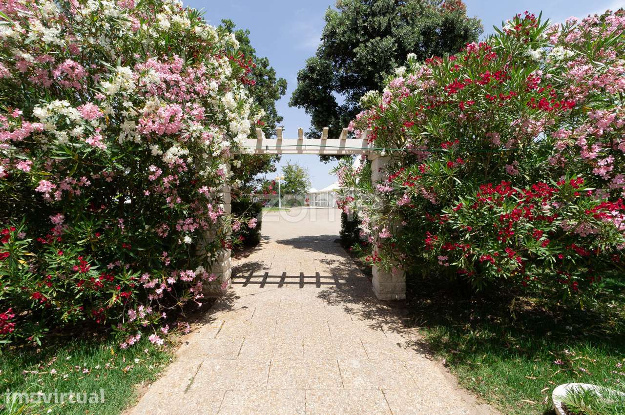 Quinta de eventos Santiago do Cacém - Grande imagem: 4/29