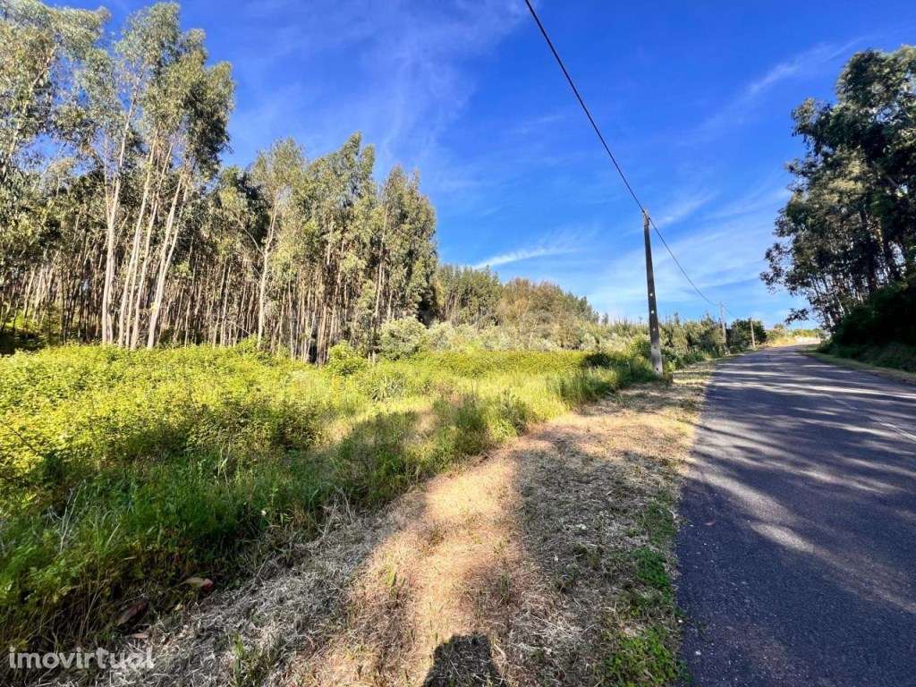 2 Terrenos com área total de 40960m2 em Ferreira do Zezere - Grande imagem: 2/31