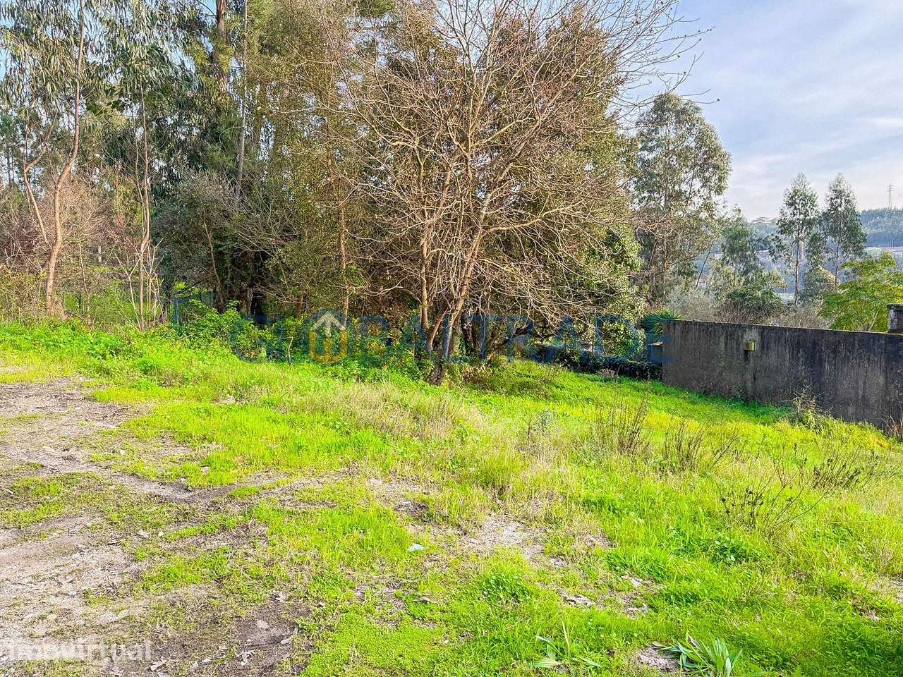 Terreno Urbano 1 225m² em Melres - Grande imagem: 2/4