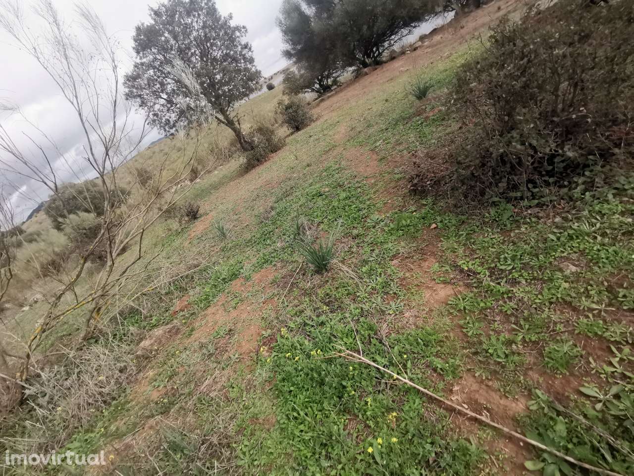 80.000 m² de Oportunidade Única no Alentejo: Versatilidade e Beleza ju - Grande imagem: 3/8