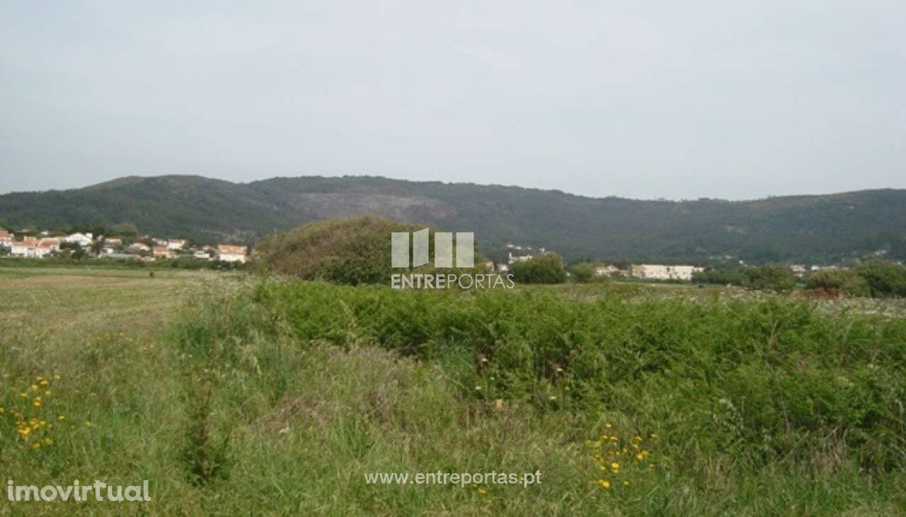 Terreno Agrícola - Afife - Grande imagem: 4/6