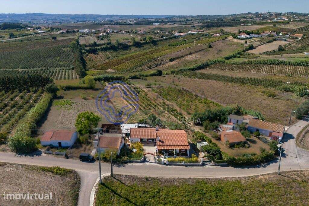 Oportunidade Única no Carvalhal, Bombarral - Grande imagem: 4/50