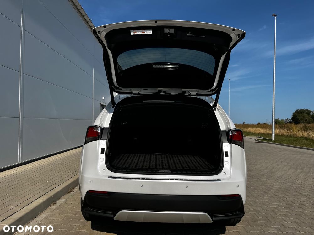 Lexus NX 300h F Sport AWD - 22