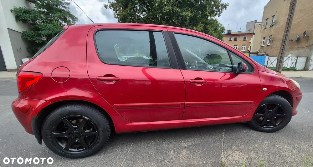 Peugeot 307 1.4 Presence - 6