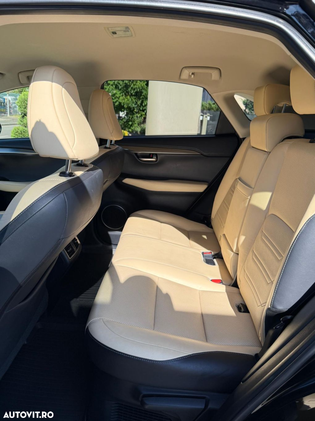 Lexus Seria NX - 8