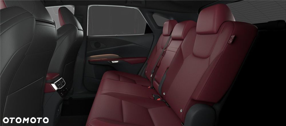 Lexus RX 500h F Sport Edition - 10
