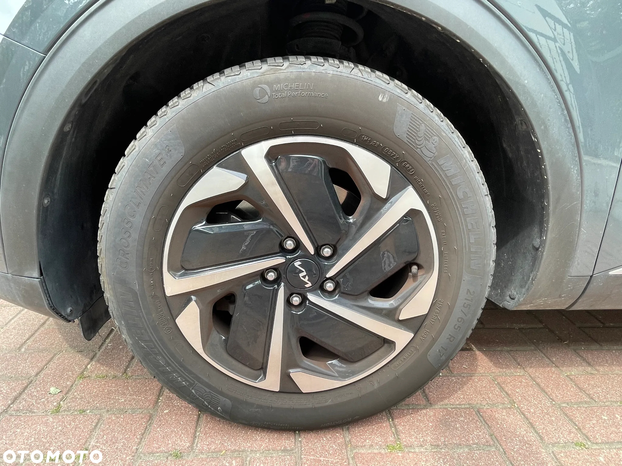 Kia Sportage 1.6 CRDI MHEV L Business Line 2WD DCT - 30