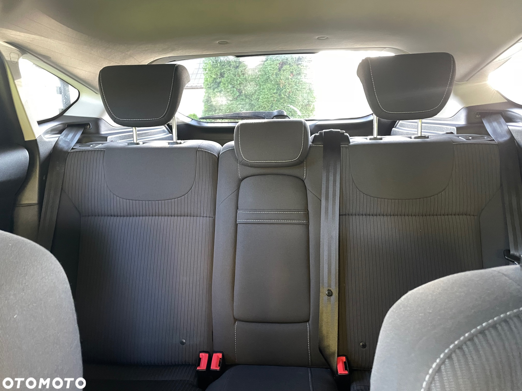 Ford Focus - 14