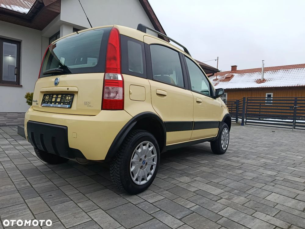 Fiat Panda 1.2 4x4 - 10