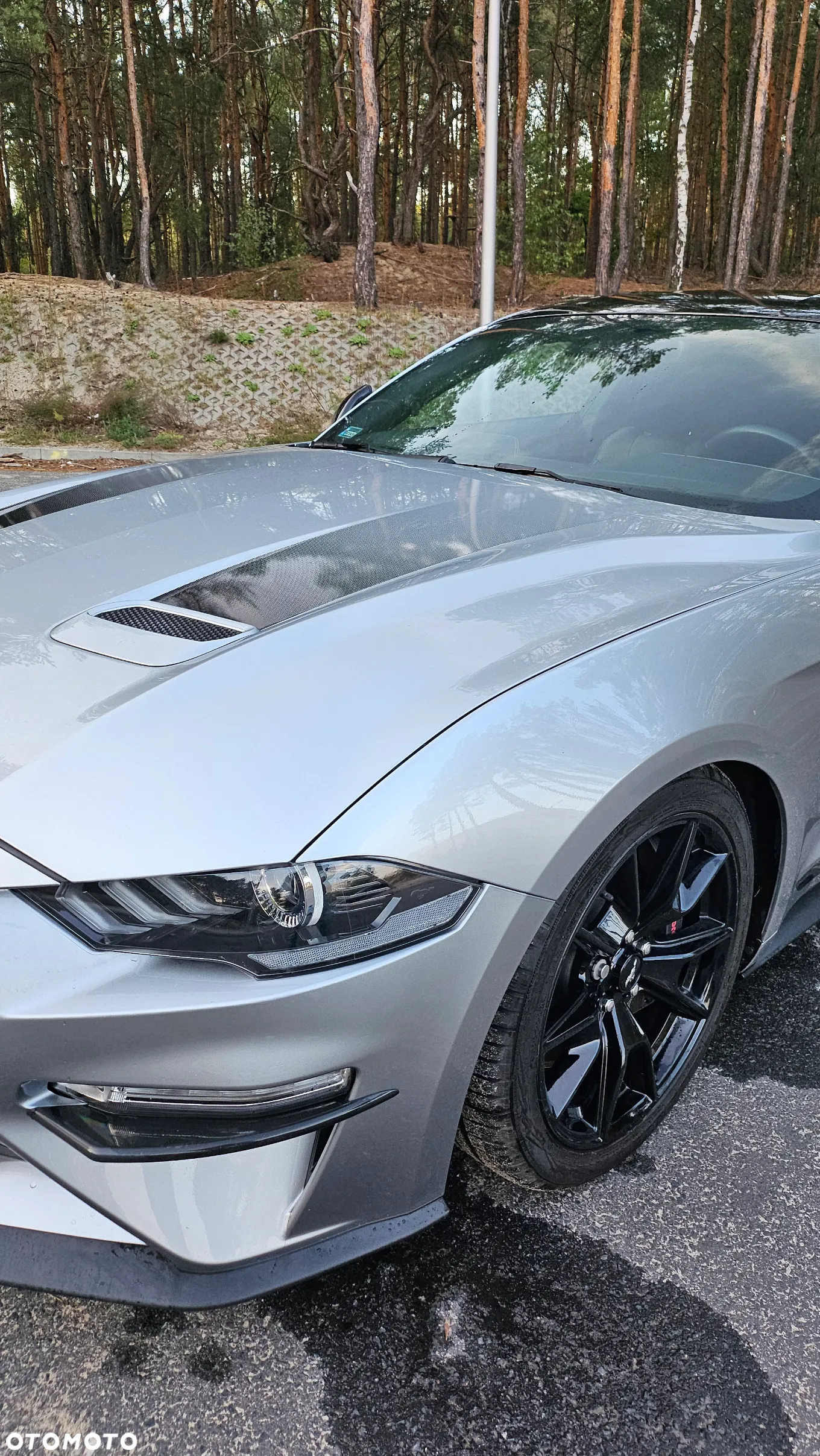 Ford Mustang 5.0 V8 GT - 2